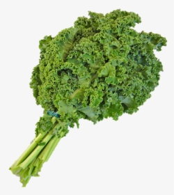 This Alt Value Should Not Be Empty If You Assign Primary - Kale Transparent Background, HD Png Download, Transparent PNG