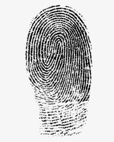 Fingerprint Black And White, HD Png Download, Transparent PNG