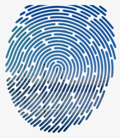 Fingerprint Vector Png, Transparent Png, Transparent PNG