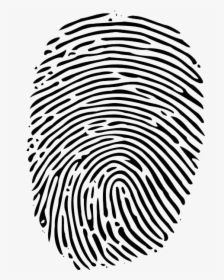Fingerprint Credential Image Scanner Virtual Home Computer - Fingerprint Svg, HD Png Download, Transparent PNG