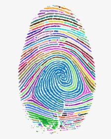 Fingerprint Footprint Clip Art - Transparent Background Fingerprint Png, Png Download, Transparent PNG