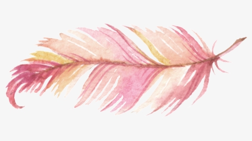 Transparent Feathers Pink - Watercolor Painting Feather Png, Png Download, Transparent PNG