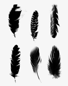 Black Feathers Commercial Minimalist Png และ Psd - Transparent Vector Feather Png, Png Download, Transparent PNG