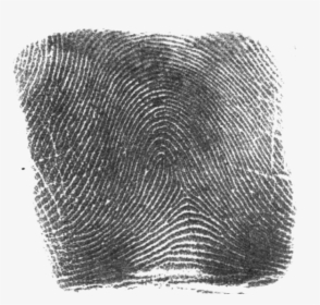 Clip Art Fingerprint Image - Ink Fingerprint Png, Transparent Png, Transparent PNG
