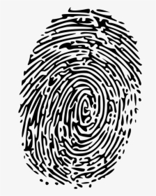 Fingerprint Clipart Similar - Finger Printing, HD Png Download, Transparent PNG