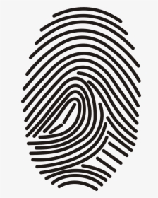 Transparent Fingerprint Png - Fingerprint Png, Png Download, Transparent PNG