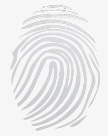 Fingerprint Icon - White Fingerprint Vector, HD Png Download, Transparent PNG