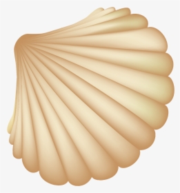 Seashell Computer File - Shell Vector Png, Transparent Png, Transparent PNG