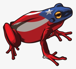 Coqui Puerto Rico Flag, HD Png Download, Transparent PNG
