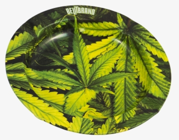 Be Lit Ashtray, Leafy - Fern, HD Png Download, Transparent PNG