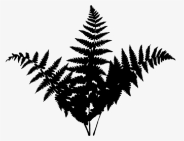 Black & White - Forest Leaf Png Silhouette, Transparent Png, Transparent PNG