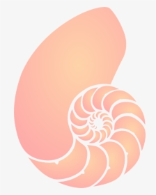Transparent Shell Clipart Png - Nautilus Shell Clipart, Png Download, Transparent PNG