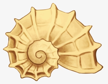 Sea Shell Big Image - Clip Art Sea Shell Png, Transparent Png, Transparent PNG