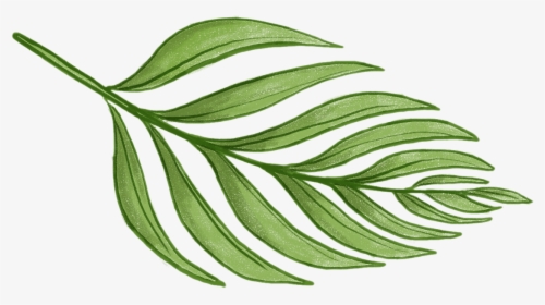 Never Not Knitting - Tropical Leaves Png, Transparent Png, Transparent PNG