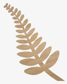 Orn Si Fn Oo - Fern, HD Png Download, Transparent PNG