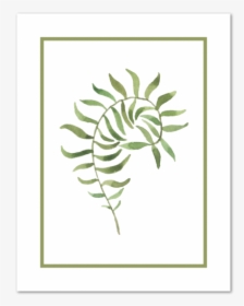 Fern Note Card  								data-caption  								class - Visual Arts, HD Png Download, Transparent PNG