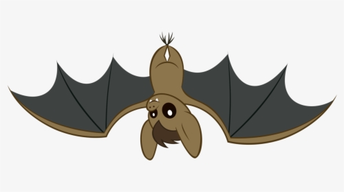 Bat - Bat My Little Pony, HD Png Download, Transparent PNG