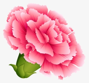 Transparent Flower Clipart Png - Carnation Clipart Png, Png Download, Transparent PNG
