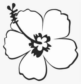 Excelent 999 Flower Clipart Black And White [free Download] - Hibiscus Flower Clipart Black And White, HD Png Download, Transparent PNG
