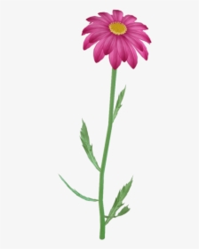 Flower Clipart Png, Purple Daisy, Pink Flowers, Flower - Flower On A Steam Clipart, Transparent Png, Transparent PNG
