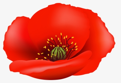 Poppy Flower Png Clip - Transparent Background Poppy Flower Png, Png Download, Transparent PNG