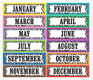 Tcr5352 Colorful Zebra Stripes Headliners Image - Style, HD Png Download, Transparent PNG