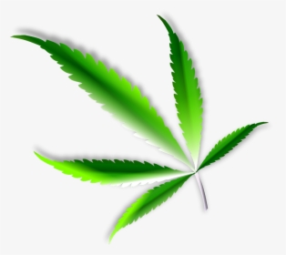 Marijuana Leaf Png - Marijuana Png, Transparent Png, Transparent PNG
