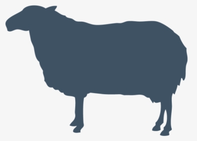 Sheep Vector Graphics Goat Silhouette Royalty-free - Sheep Vector Silhouette Png, Transparent Png, Transparent PNG
