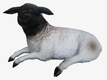 Sheep , Png Download - Dog, Transparent Png, Transparent PNG