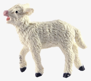 Lamb - Lambs Png, Transparent Png, Transparent PNG