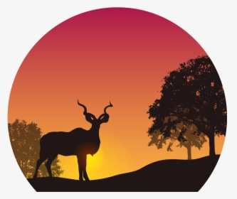 Sunset In The Wild Png Image - Kudu Silhouette Sunset, Transparent Png, Transparent PNG