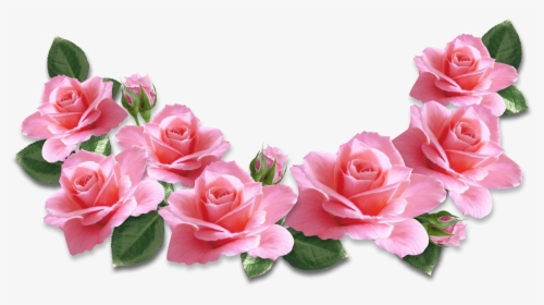 Pin By Silvana Dragneva - Pink Roses Transparent Png, Png Download, Transparent PNG
