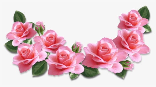 Pink Flower Png Images Transparent Pink Flower Image Download Pngitem