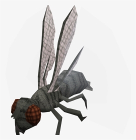 Demonic Giant Flies Pathfinder, HD Png Download, Transparent PNG