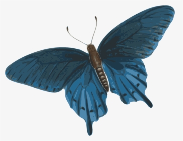 Dark Blue Butterfly Png, Transparent Png, Transparent PNG