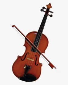 Bass Violin Cello Violone Viola - Violin Png, Transparent Png, Transparent PNG
