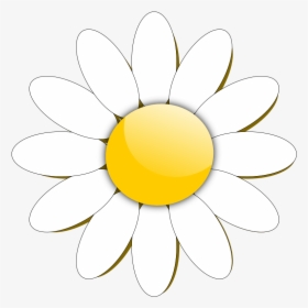 Transparent Daisy Clipart Png - Daisy Flower Clipart, Png Download, Transparent PNG