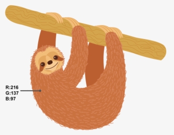 Sloth Illustrator, HD Png Download, Transparent PNG