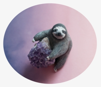 Three-toed Sloth, HD Png Download, Transparent PNG