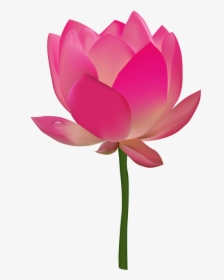 Lotus Png Images Download - Transparent Flower Clip Art, Png Download, Transparent PNG