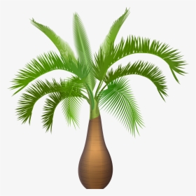 Palm Tree Plant Png Clip Art Image - Palm Tree Plant Clipart, Transparent Png, Transparent PNG