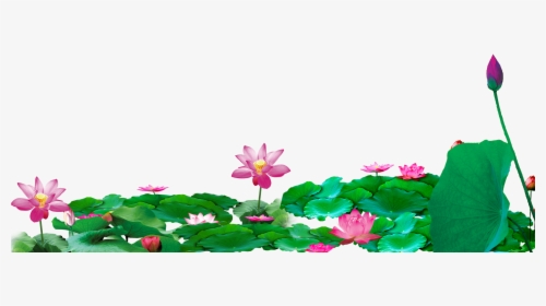 Download Computer File Transprent - White Lotus Chinese Background, HD Png Download, Transparent PNG