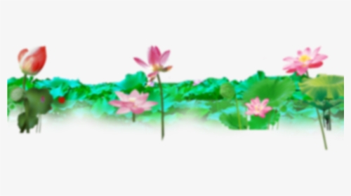 Wallpaper Banner Design - Sacred Lotus, HD Png Download, Transparent PNG