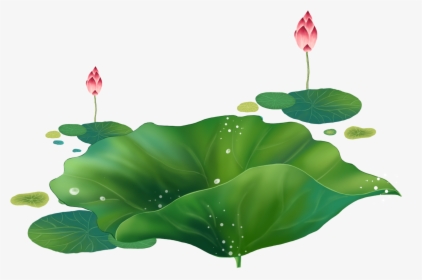 Cartoon Lotus Decorative About Hand Droplets - Sacred Lotus, HD Png Download, Transparent PNG