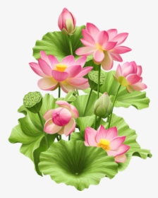Hoa Sen Đẹp: Hãy chiêm ngưỡng vẻ đẹp tuyệt vời của hoa sen đầy tinh tế và độc đáo. Hoa sen được coi là biểu tượng của sự thanh tịnh và tinh khiết, là một trong những loài hoa được yêu thích nhất tại Việt Nam. Hãy cùng nhìn lại vẻ đẹp đặc biệt đó qua hình ảnh hoa sen đẹp.