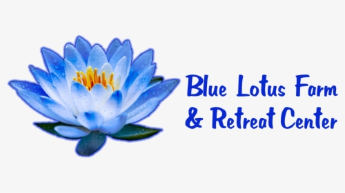 Lotus Blue Flower Png, Transparent Png, Transparent PNG