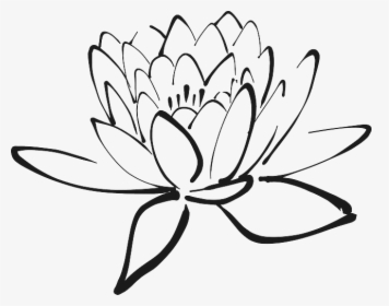Lotus Flower Clip Art Black And White, HD Png Download, Transparent PNG