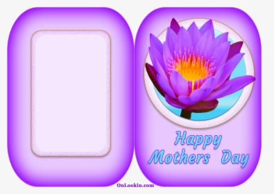 Happy Mothers Day Violet Lily - Water Lily, HD Png Download, Transparent PNG