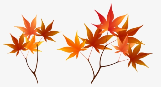 Fall Tree Branch Png - Clipart Autumn Leaves Branch, Transparent Png, Transparent PNG