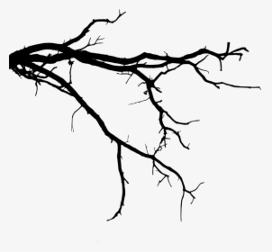 Free Png Tree Branch Png Images Transparent - Tree Branch Silhouette Png, Png Download, Transparent PNG